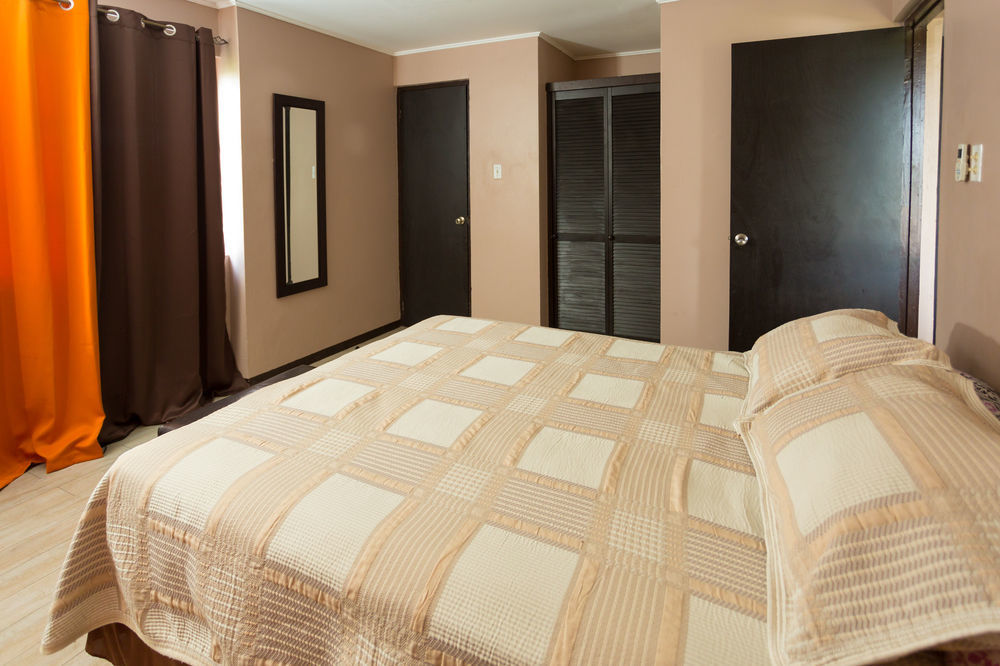 New Kingston Ca Guest Apartment VI Екстериор снимка