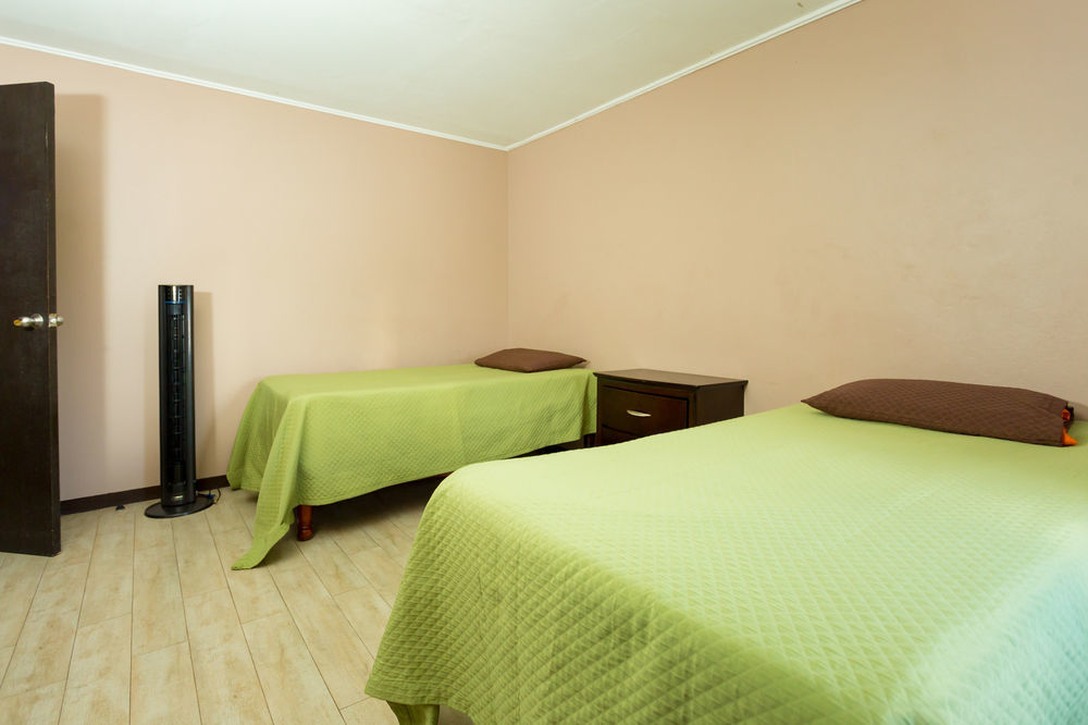 New Kingston Ca Guest Apartment VI Екстериор снимка
